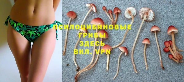 гашик Абаза