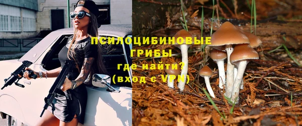 гашик Абаза