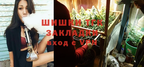 ешки Абинск
